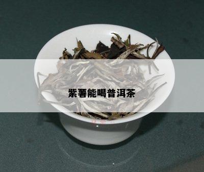 紫薯能喝普洱茶