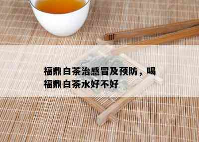 福鼎白茶治感冒及预防，喝福鼎白茶水好不好