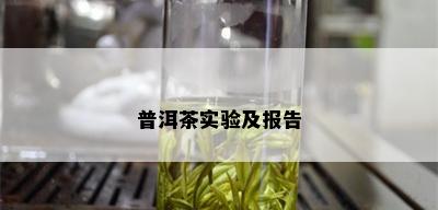 普洱茶实验及报告