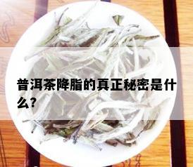 普洱茶降脂的真正秘密是什么?