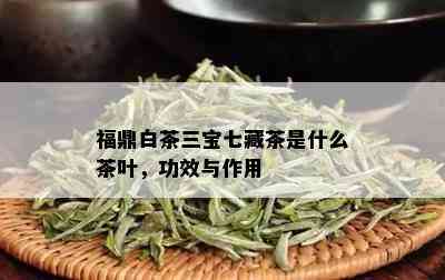 福鼎白茶三宝七藏茶是什么茶叶，功效与作用