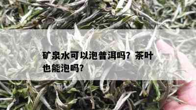 矿泉水可以泡普洱吗？茶叶也能泡吗？