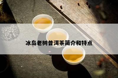 冰岛老树普洱茶简介和特点