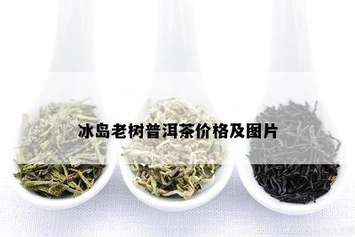 冰岛老树普洱茶价格及图片