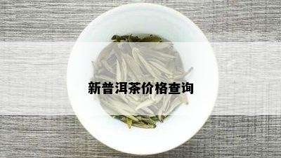 新普洱茶价格查询