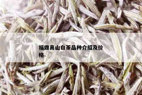 福鼎高山白茶品种介绍及价格