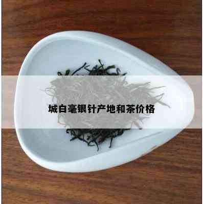 城白毫银针产地和茶价格