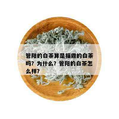 管阳的白茶算是福鼎的白茶吗？为什么？管阳的白茶怎么样？