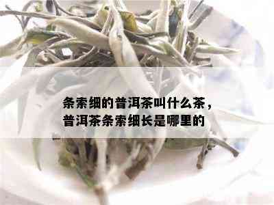 条索细的普洱茶叫什么茶，普洱茶条索细长是哪里的