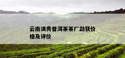 云南滇秀普洱茶茶厂勐获价格及评价