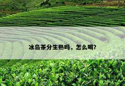 冰岛茶分生熟吗，怎么喝？