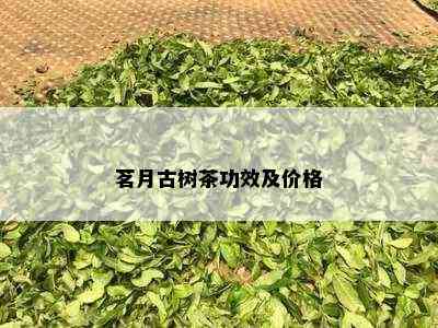 茗月古树茶功效及价格