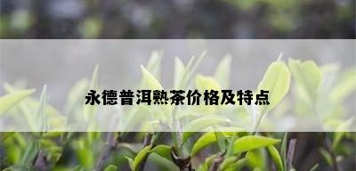 永德普洱熟茶价格及特点