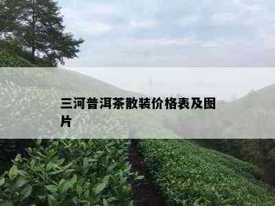 三河普洱茶散装价格表及图片