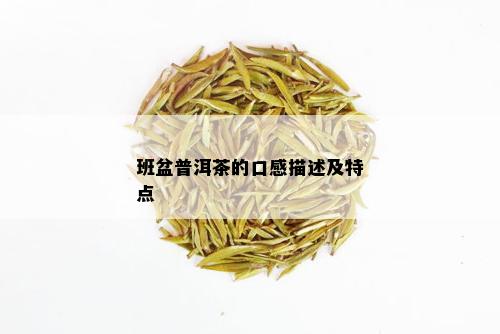 班盆普洱茶的口感描述及特点