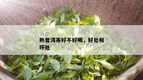 熟普洱茶好不好喝，好处和坏处