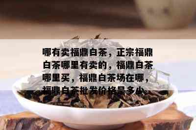 哪有卖福鼎白茶，正宗福鼎白茶哪里有卖的，福鼎白茶哪里买，福鼎白茶场在哪，福鼎白茶批发价格是多少