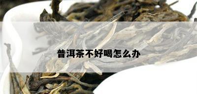 普洱茶不好喝怎么办