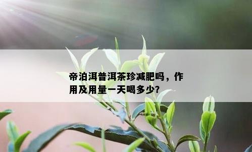 帝泊洱普洱茶珍减肥吗，作用及用量一天喝多少？