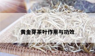 黄金芽茶叶作用与功效