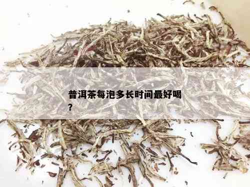 普洱茶每泡多长时间更好喝？