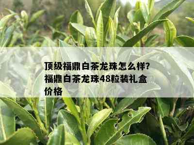 顶级福鼎白茶龙珠怎么样？福鼎白茶龙珠48粒装礼盒价格