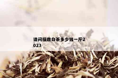 请问福鼎白茶多少钱一斤2023