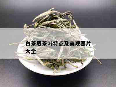 白茶眉茶叶特点及美观图片大全