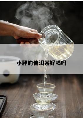 小胖的普洱茶好喝吗