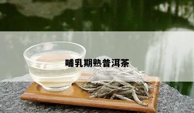 哺乳期熟普洱茶