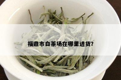 福鼎市白茶场在哪里进货？