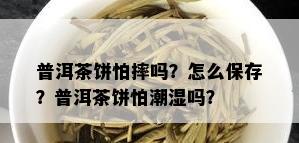 普洱茶饼怕摔吗？怎么保存？普洱茶饼怕潮湿吗？