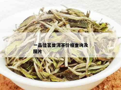 一品佳茗普洱茶价格查询及图片