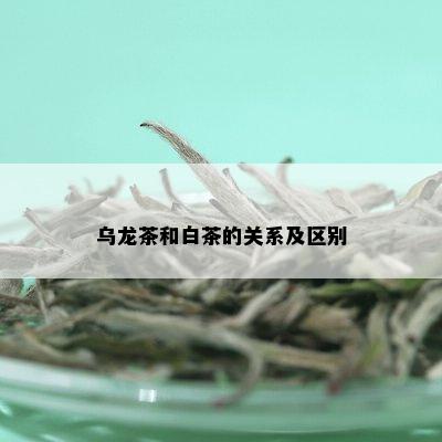 乌龙茶和白茶的关系及区别