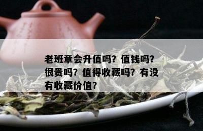 老班章会升值吗？值钱吗？很贵吗？值得收藏吗？有没有收藏价值？