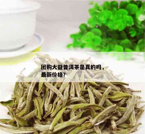 团购大益普洱茶是真的吗，最新价格？