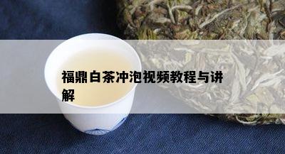 福鼎白茶冲泡视频教程与讲解