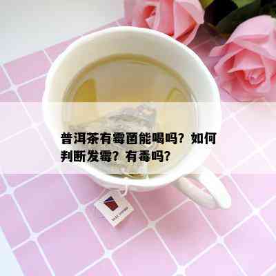 普洱茶有霉菌能喝吗？如何判断发霉？有吗？