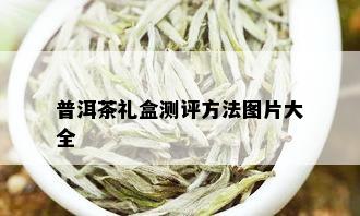 普洱茶礼盒测评方法图片大全