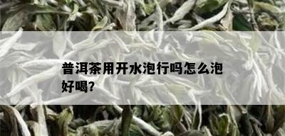 普洱茶用开水泡行吗怎么泡好喝？