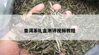 普洱茶礼盒测评视频教程