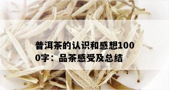 普洱茶的认识和感想1000字：品茶感受及总结