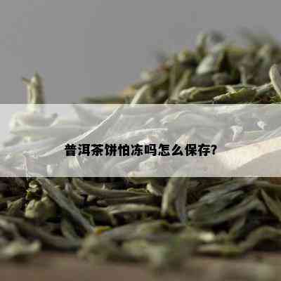 普洱茶饼怕冻吗怎么保存？