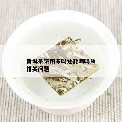 普洱茶饼怕冻吗还能喝吗及相关问题