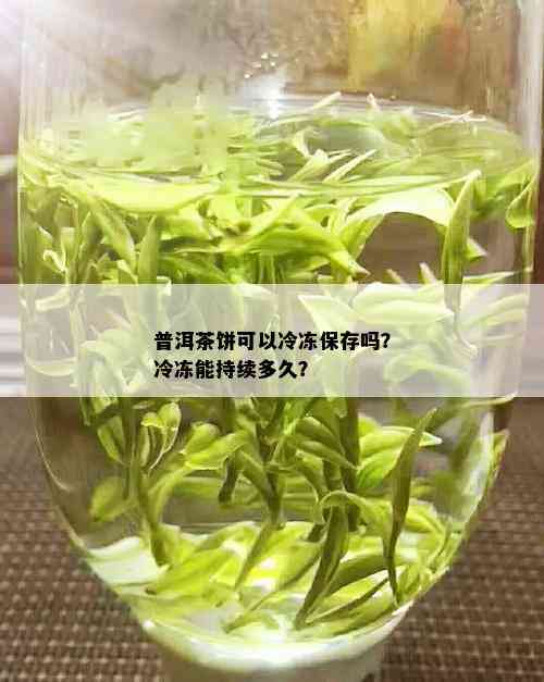 普洱茶饼可以冷冻保存吗？冷冻能持续多久？