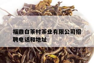 福鼎白茶村茶业有限公司招聘电话和地址