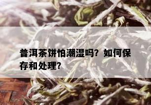 普洱茶饼怕潮湿吗？如何保存和处理？