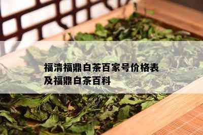 福清福鼎白茶百家号价格表及福鼎白茶百科