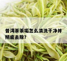 普洱茶茶垢怎么清洗干净并彻底去除？