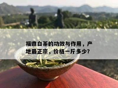 福鼎白茶的功效与作用，产地最正宗，价格一斤多少？